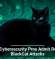 U.S. Cybersecurity Pros Admit Role in BlackCat Attacks