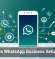 AI Makes WhatsApp Business Setup Easier